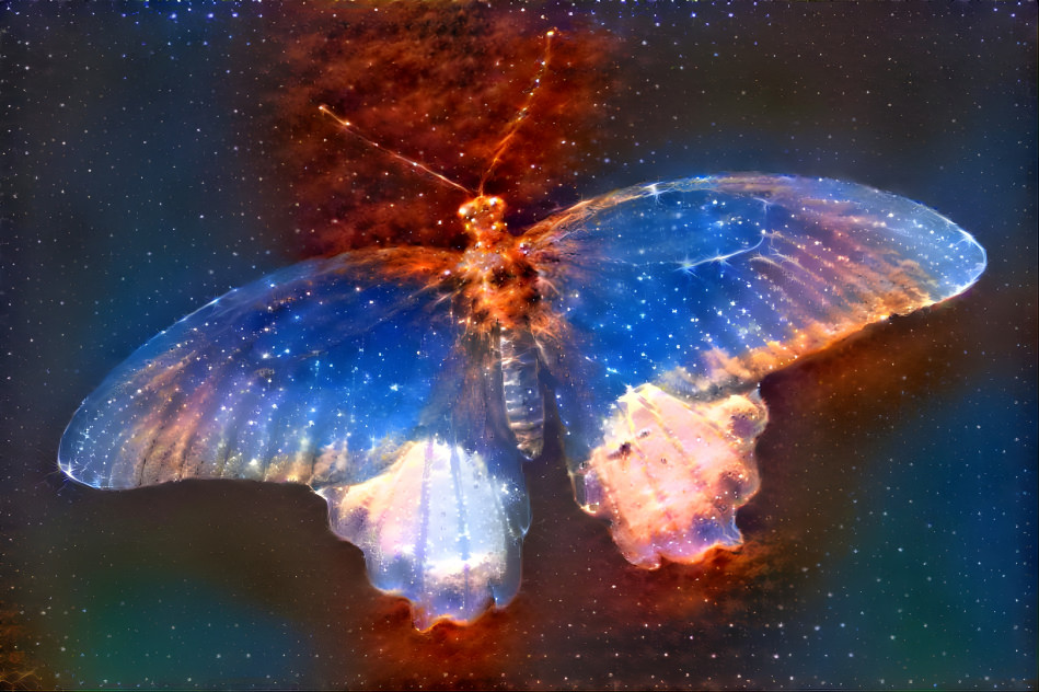 Universe Butterfly