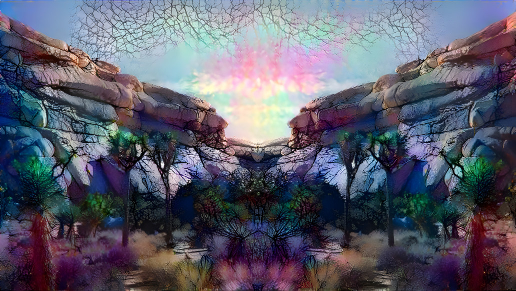 Joshua Tree Mirror