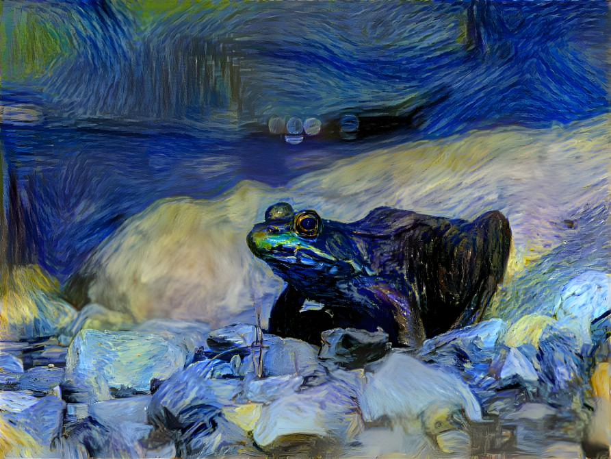 Frog on Rock