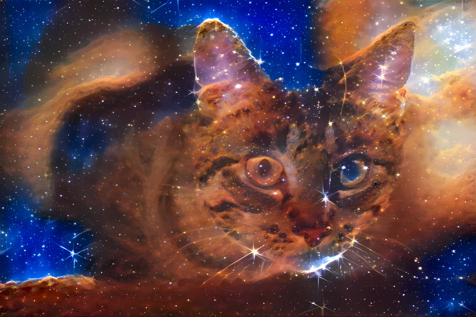 Space cat