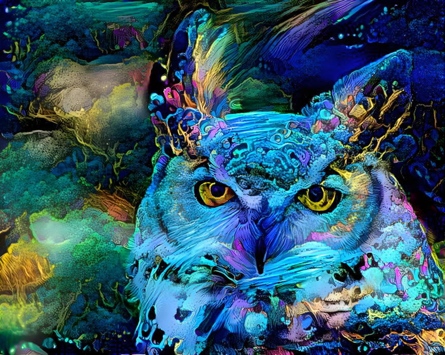 Owl