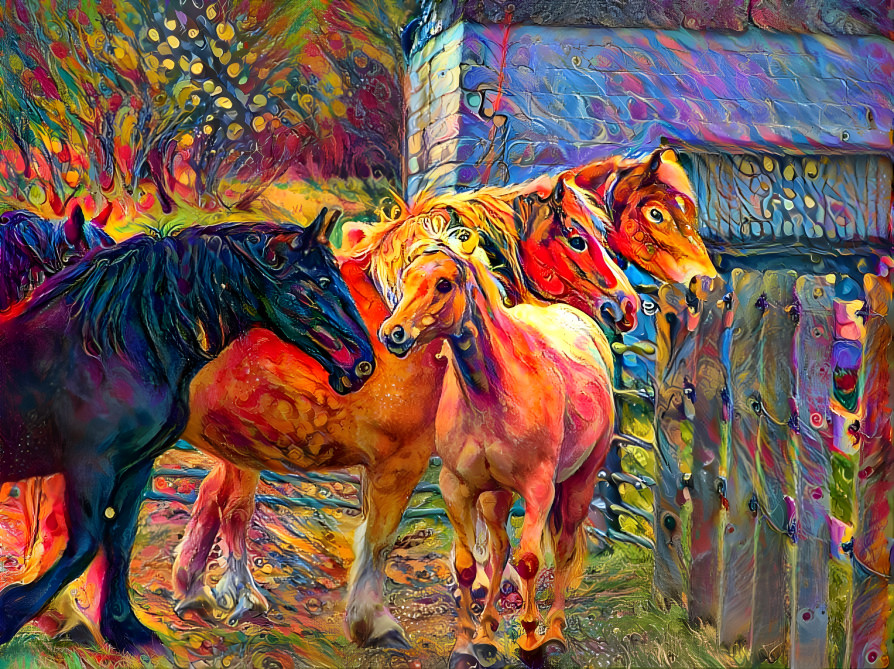 Horses