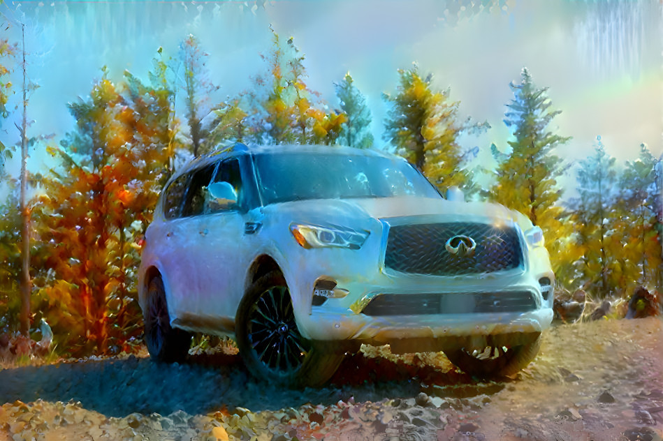 QX80 in Capital Forest