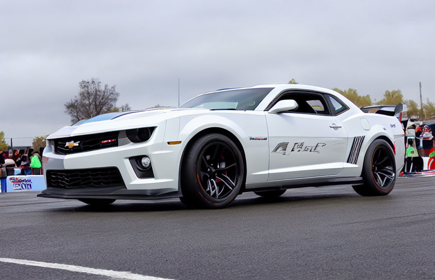 Customized white Chevrolet Camaro with black stripes showcased at outdoor event