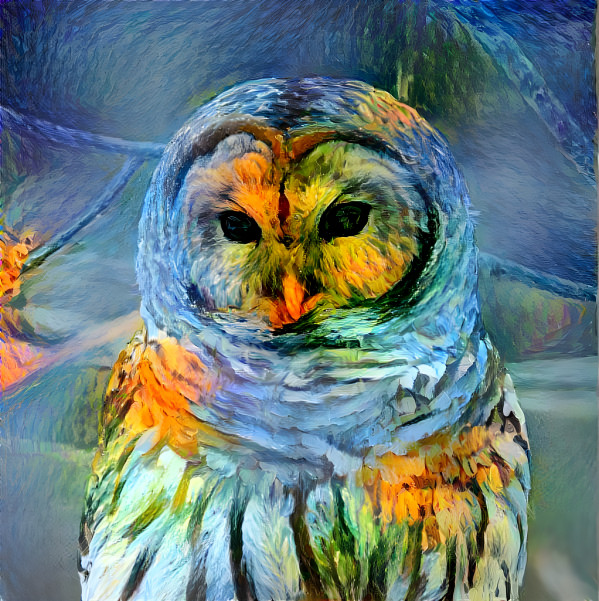 owl 