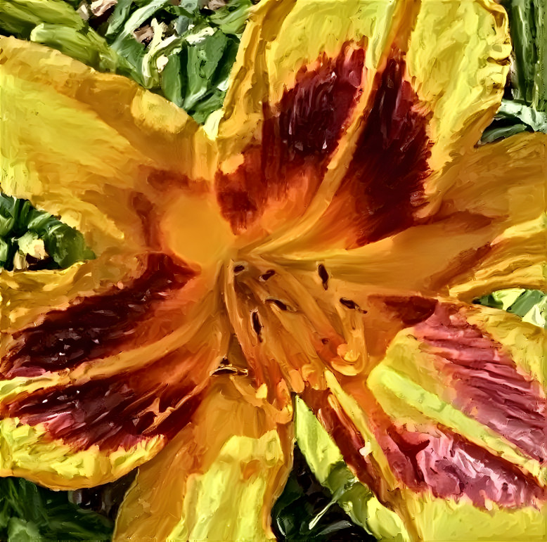 Orange Daylily