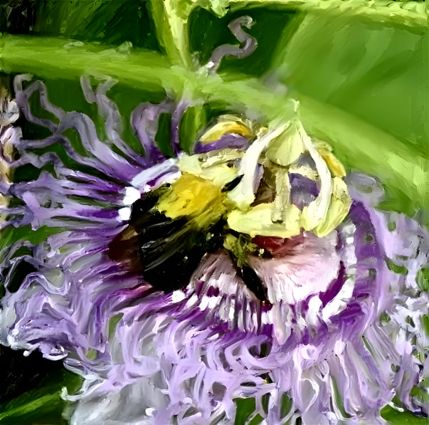 Purple passionflower