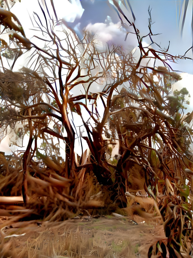 TERRIFYING TREES