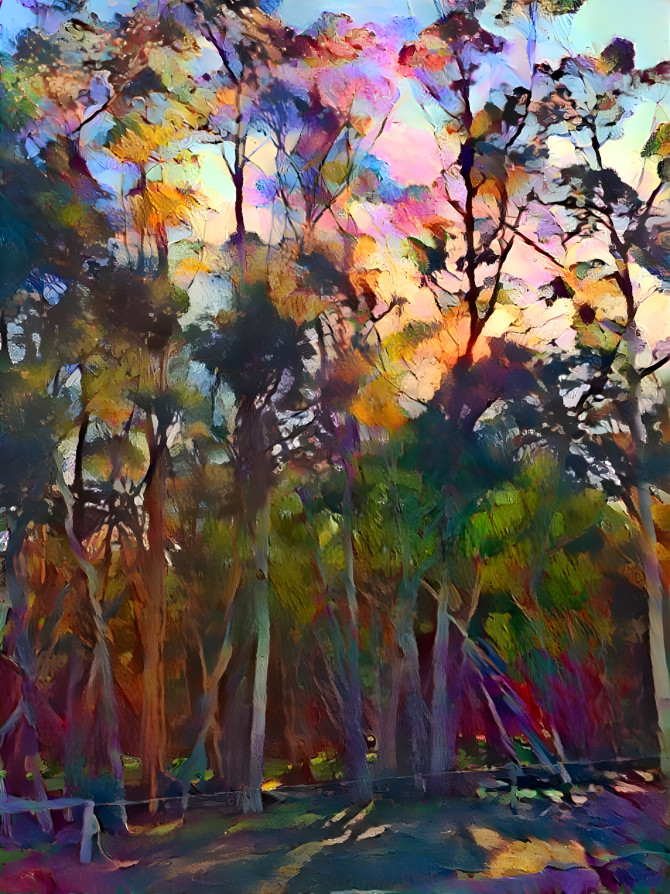 'Gum Tree Series' - Woodlands Historic Park