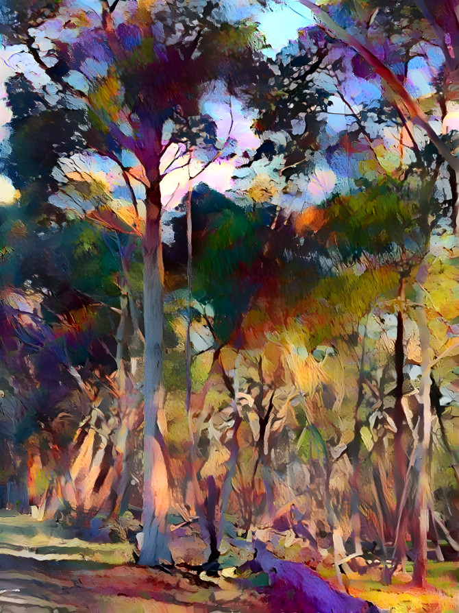 'Gum Tree Series' - Woodlands Historic Park