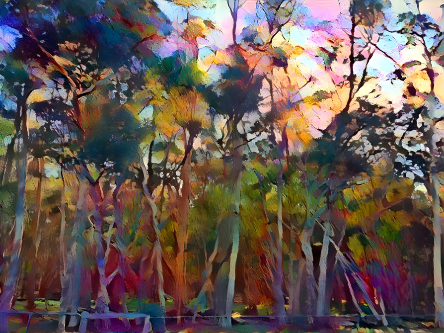 'Gum Tree Series' - Woodlands Historic Park