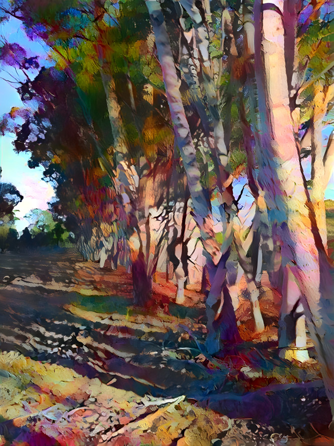 'Gum Tree Series' - Woodlands Historic Park