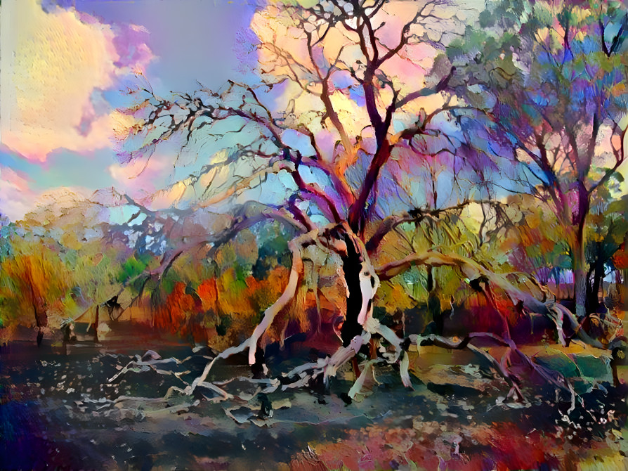 'Gum Tree Series' - Woodlands Historic Park