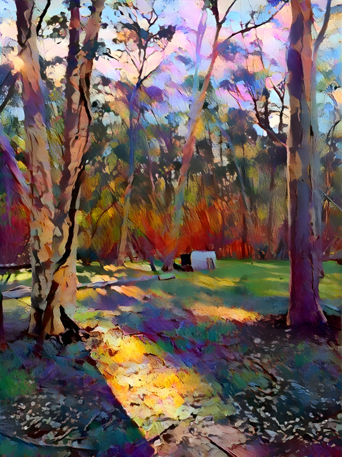 'Gum Tree Series' - Woodlands Historic Park