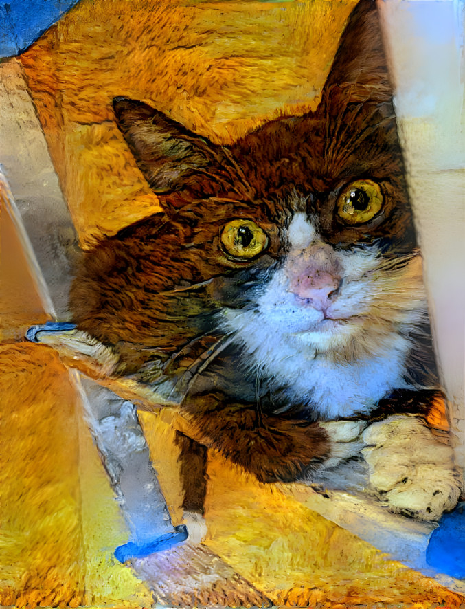 Orpheu the Cat - Van Gogh II