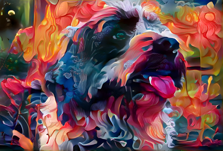 FireDog