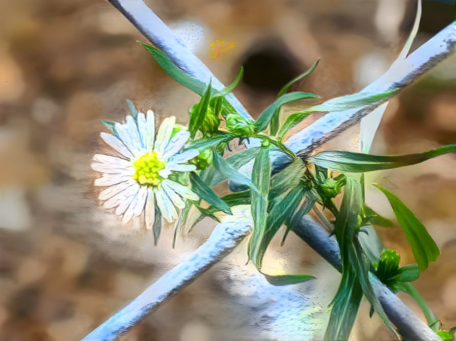 In the Fence