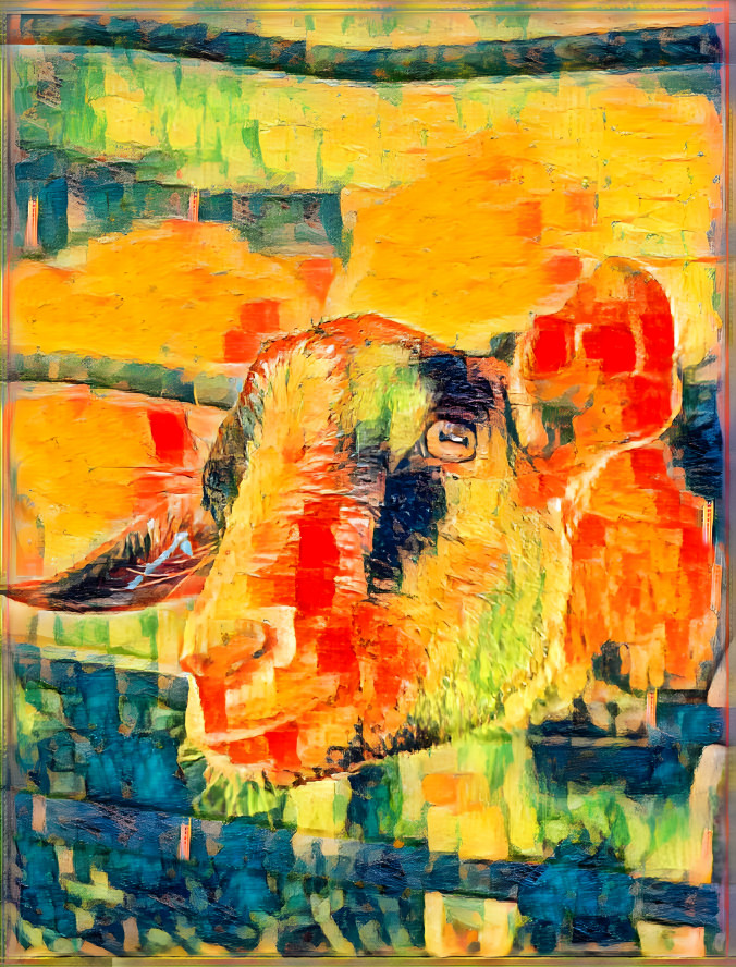 Colorful Cow