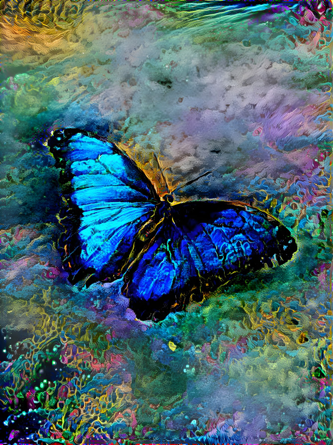 butterfly