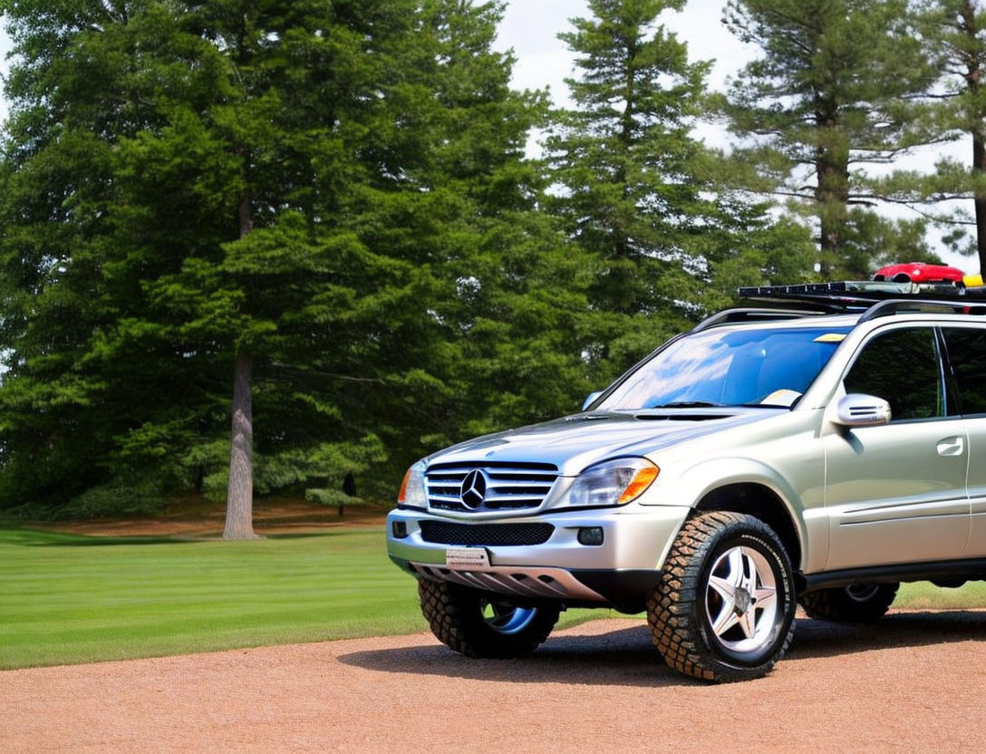 Silver SUV parked near green golf course with tall pine trees