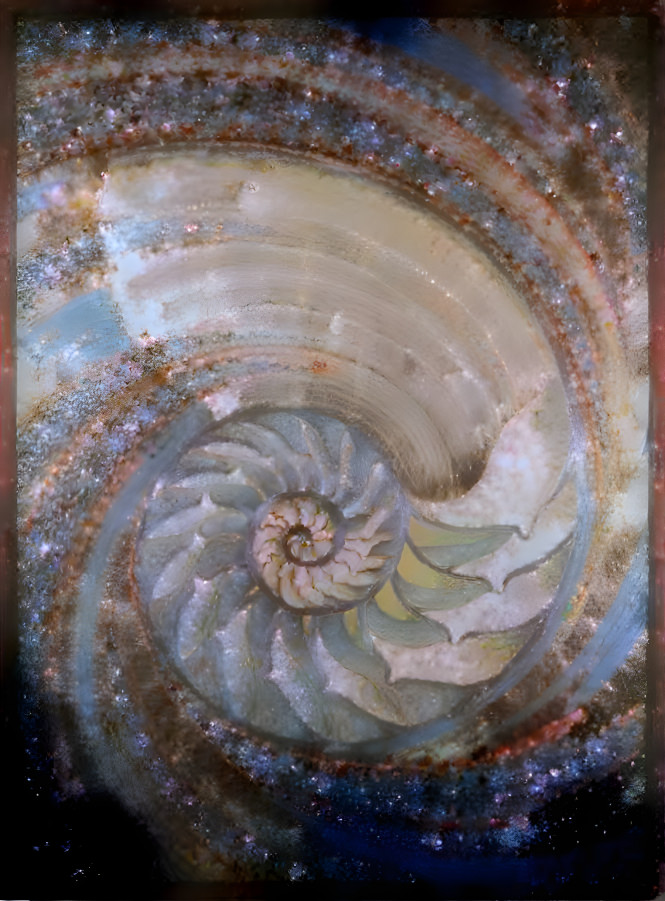 Celestial sea shell 