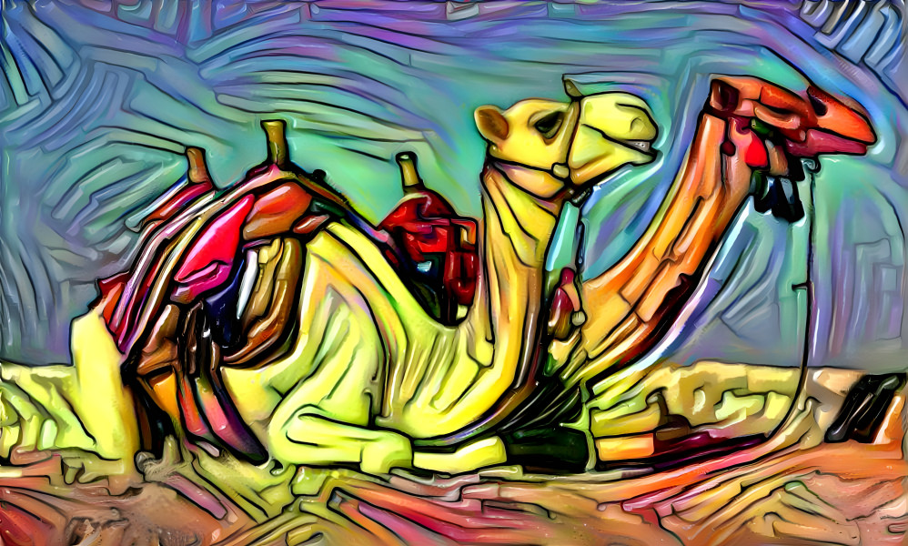 Camel