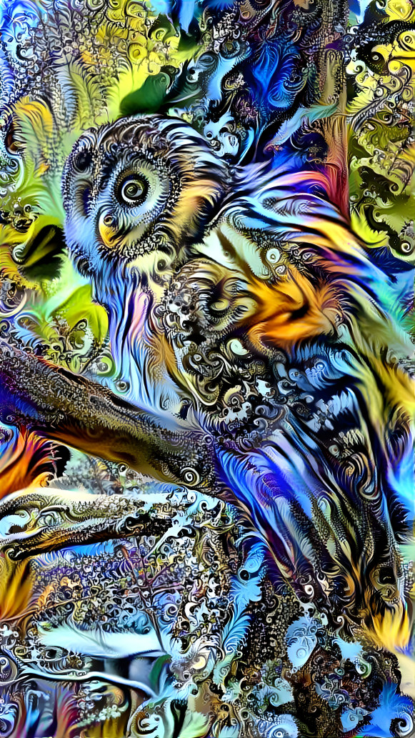 Owl