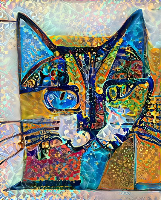 Cat Art