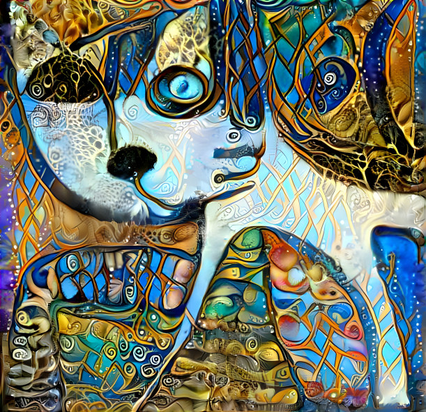 Cat Art