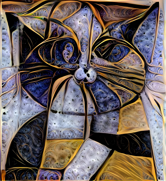 Cat Art