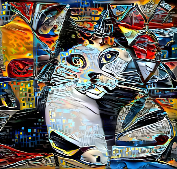 Cat Art