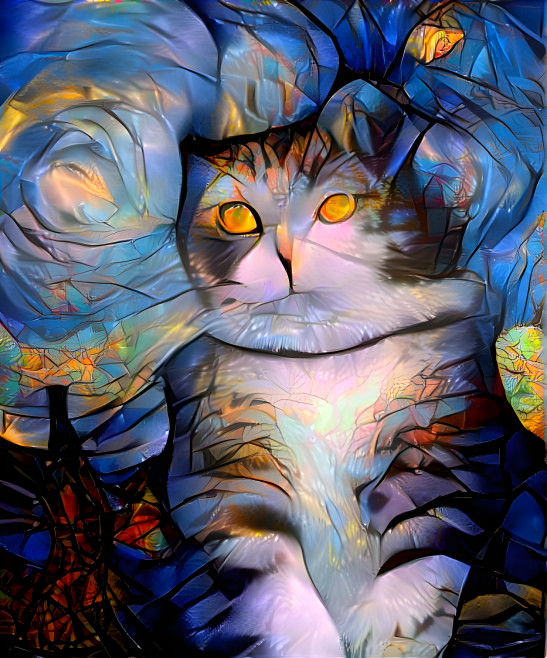 Cat Art