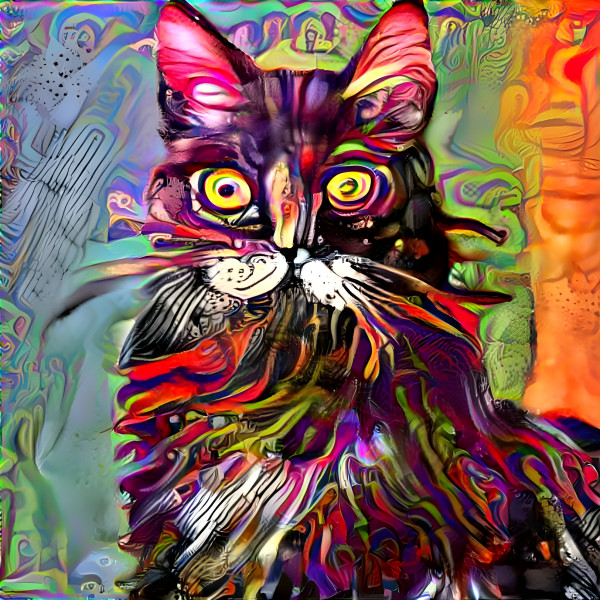 Cat Art