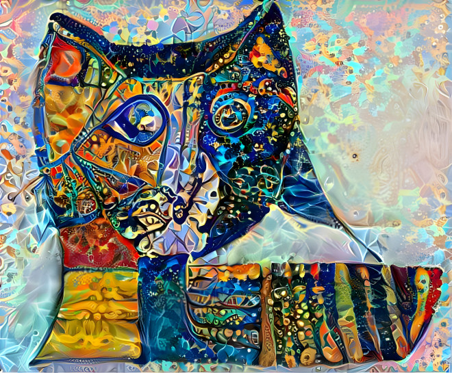 Cat Art