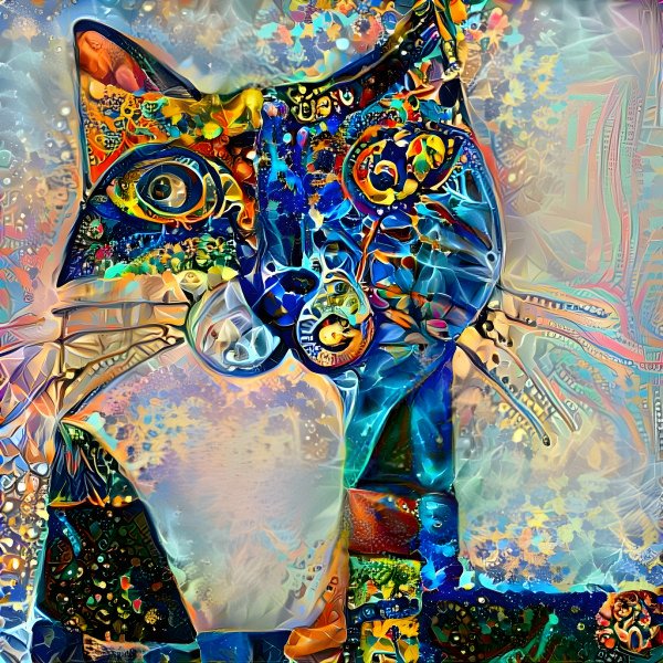 Cat Art