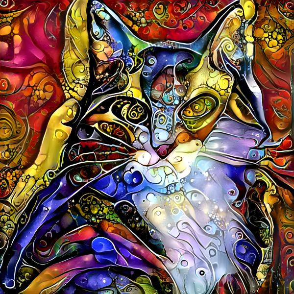 Cat Art