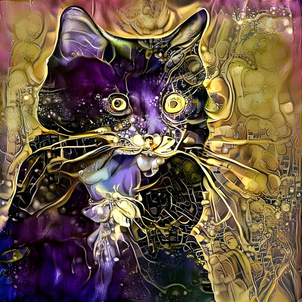 Cat Art