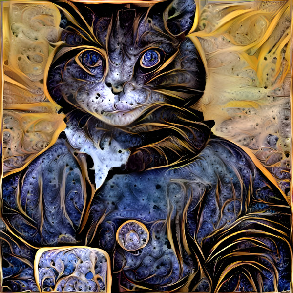 Cat Art