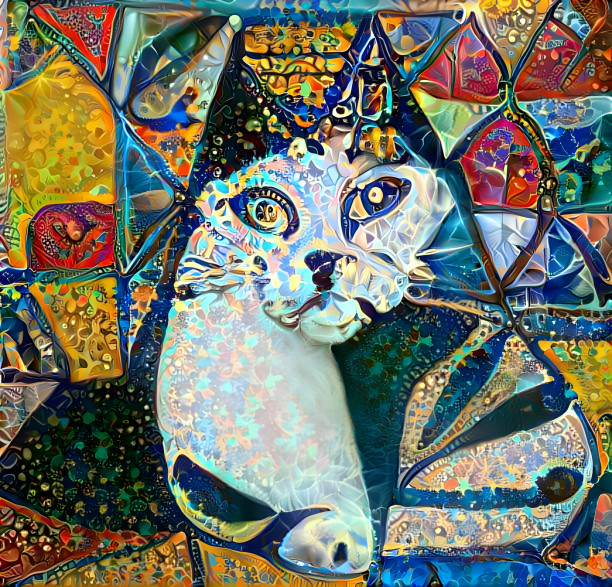 Cat Art