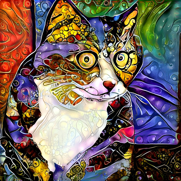 Cat Art