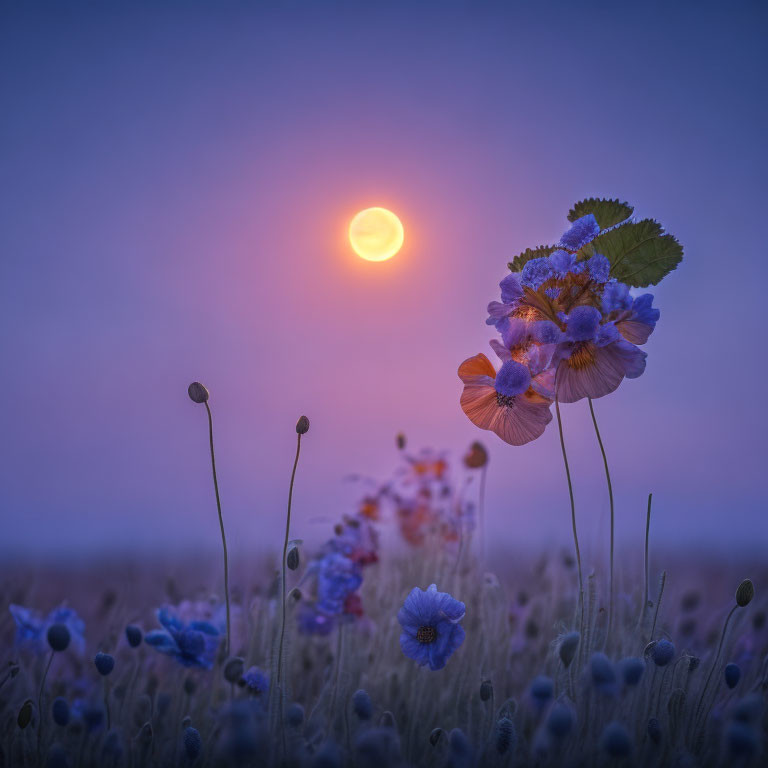 Twilight scene with purple flowers and soft sunset background