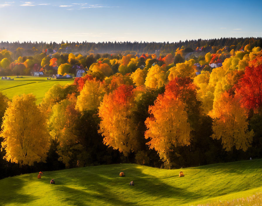 Vibrant Autumn Landscape with Trees, Hay Bales, and Houses