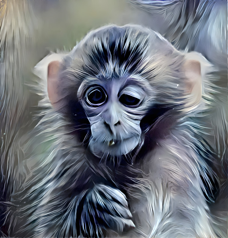 Monkey