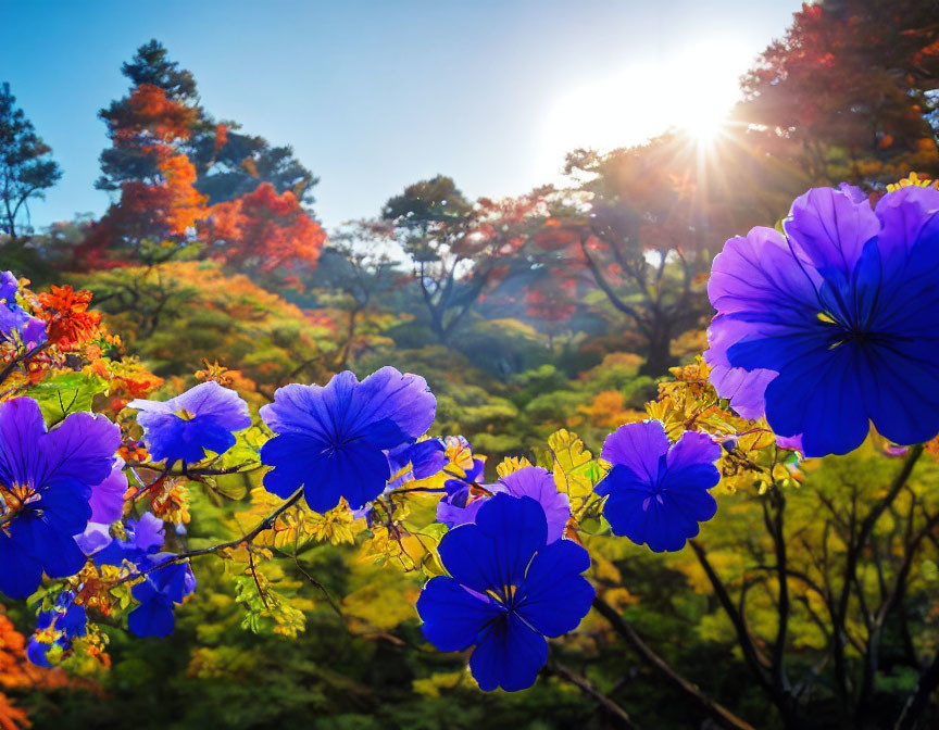 Autumn forest backdrop with vibrant blue flowers.