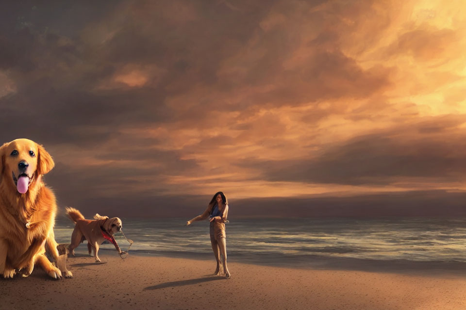 Golden retriever on beach at sunset with person and dog playing fetch