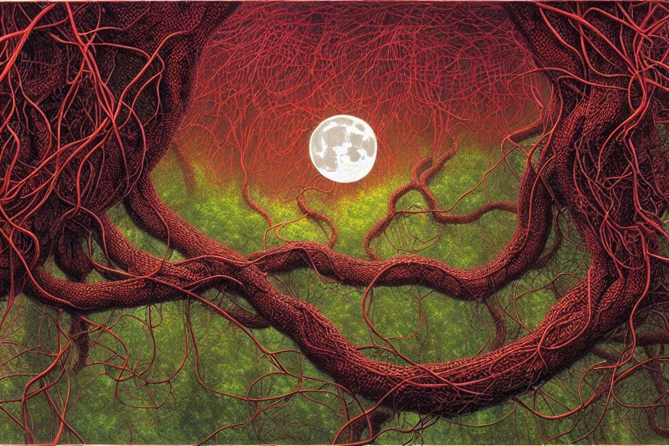 Full Moon Shines on Dense Forest with Red Vines