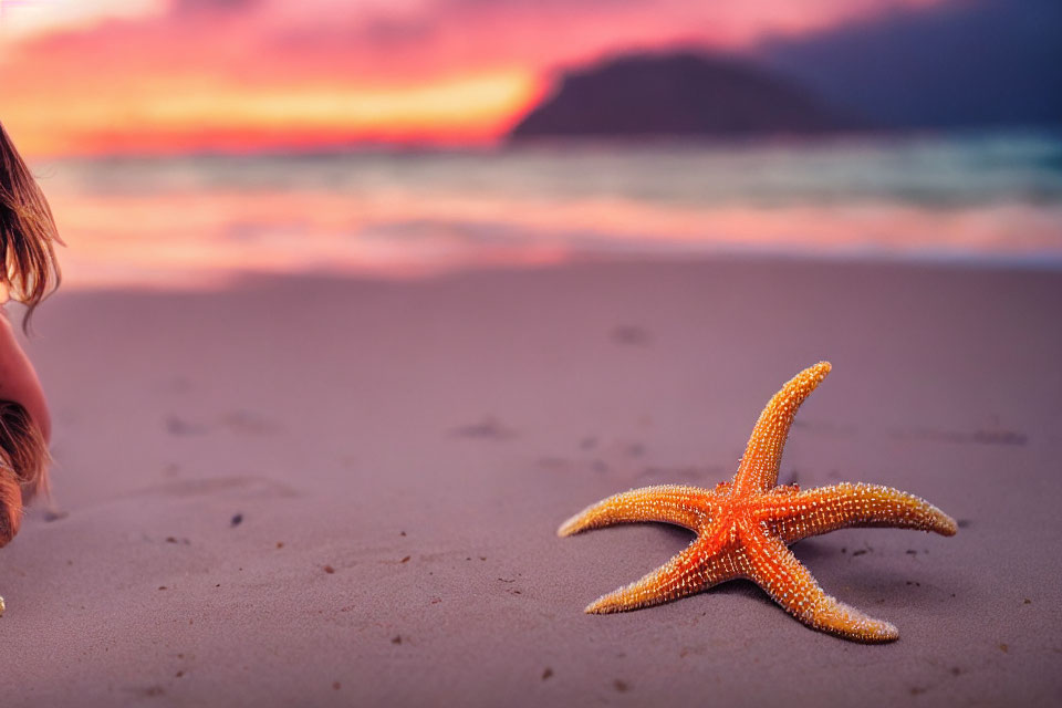 Starfish on Sand with Sunset Sky and Blurry Profile Person