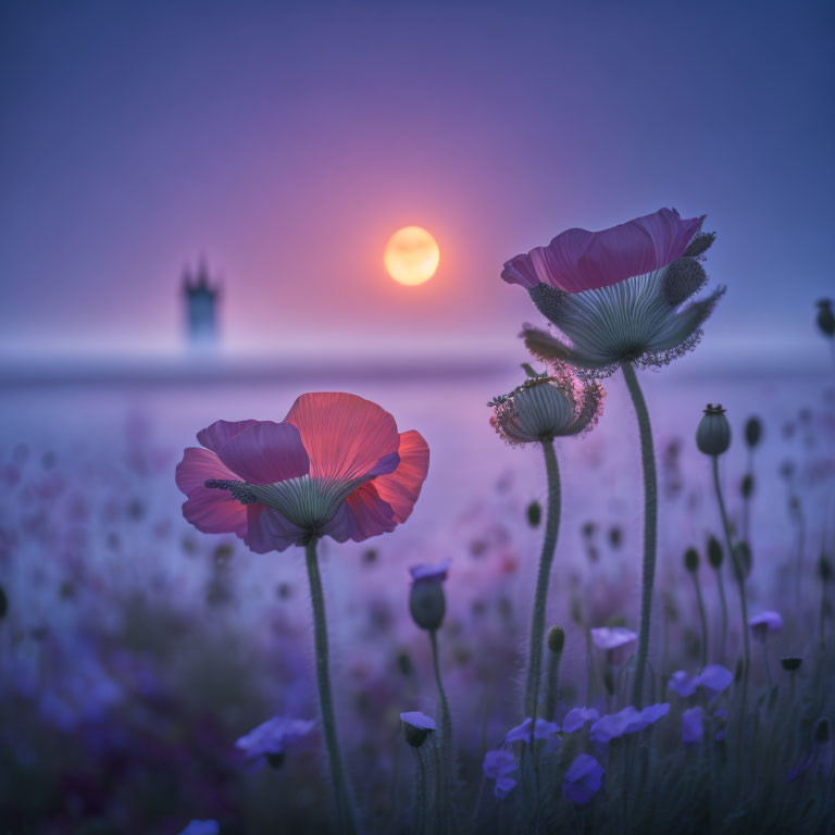 Tranquil landscape: vibrant poppies, misty castle silhouette, soft sunset.