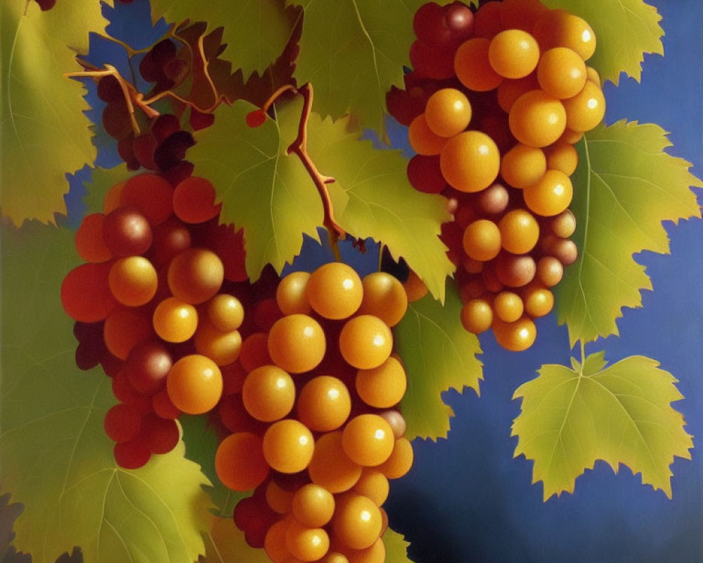 Realistic painting of lush green grapevines with ripe golden grapes on dark background