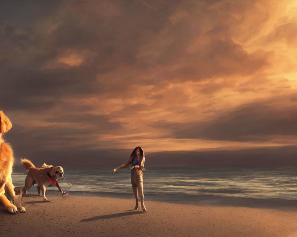 Golden retriever on beach at sunset with person and dog playing fetch